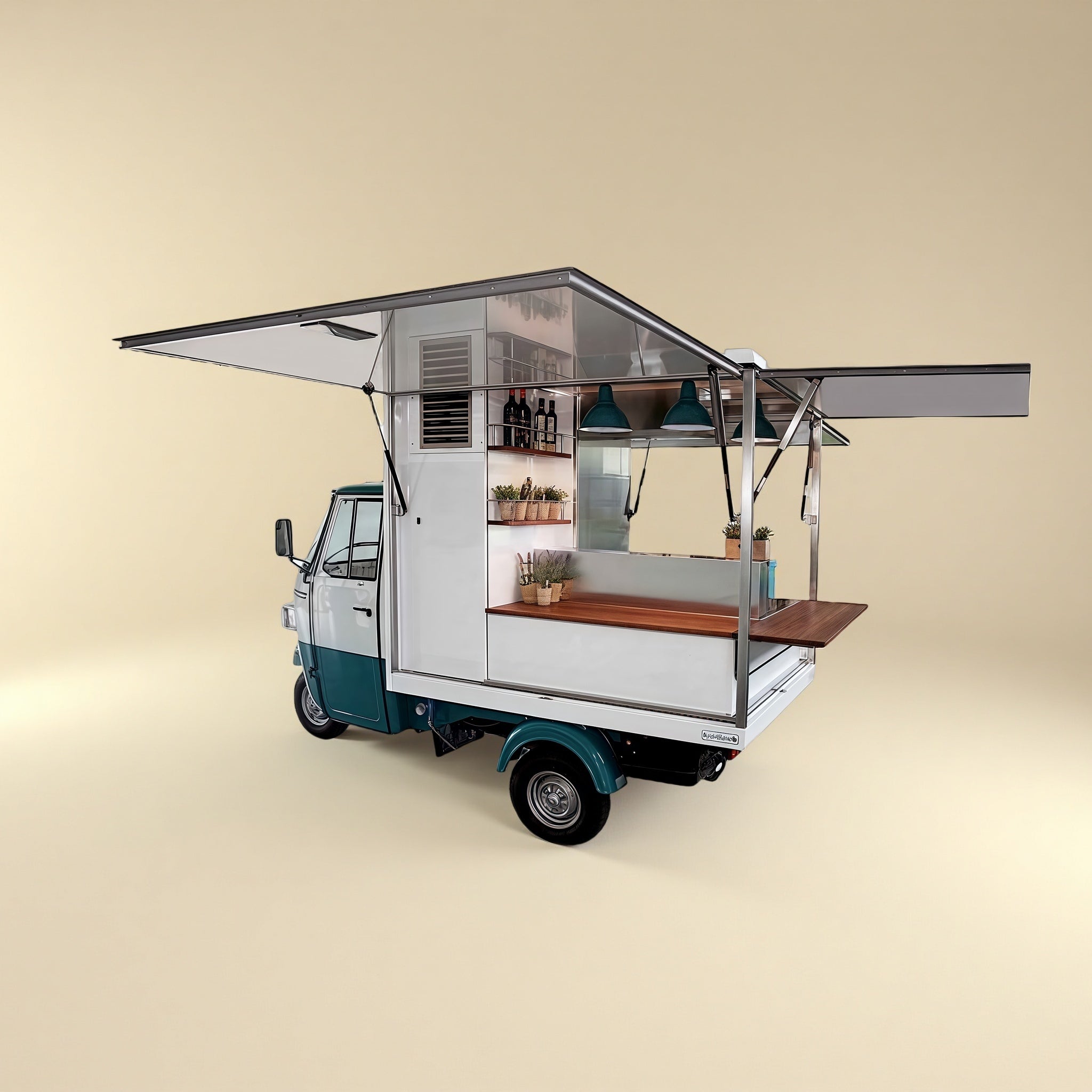 FlexiTrike R7 - S Food Tricycle - REICO