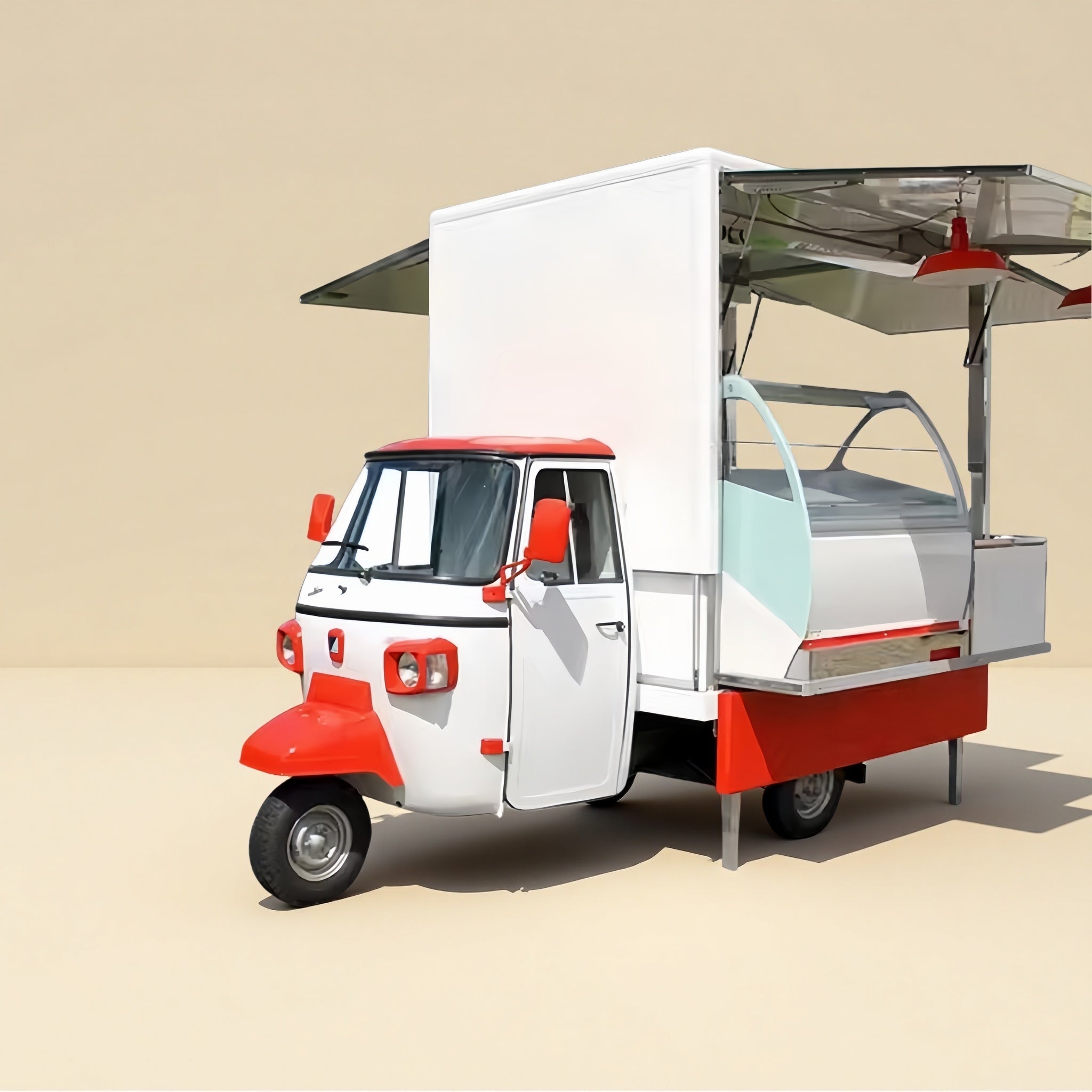 FlexiTrike R7 - T Food Tricycle - REICO