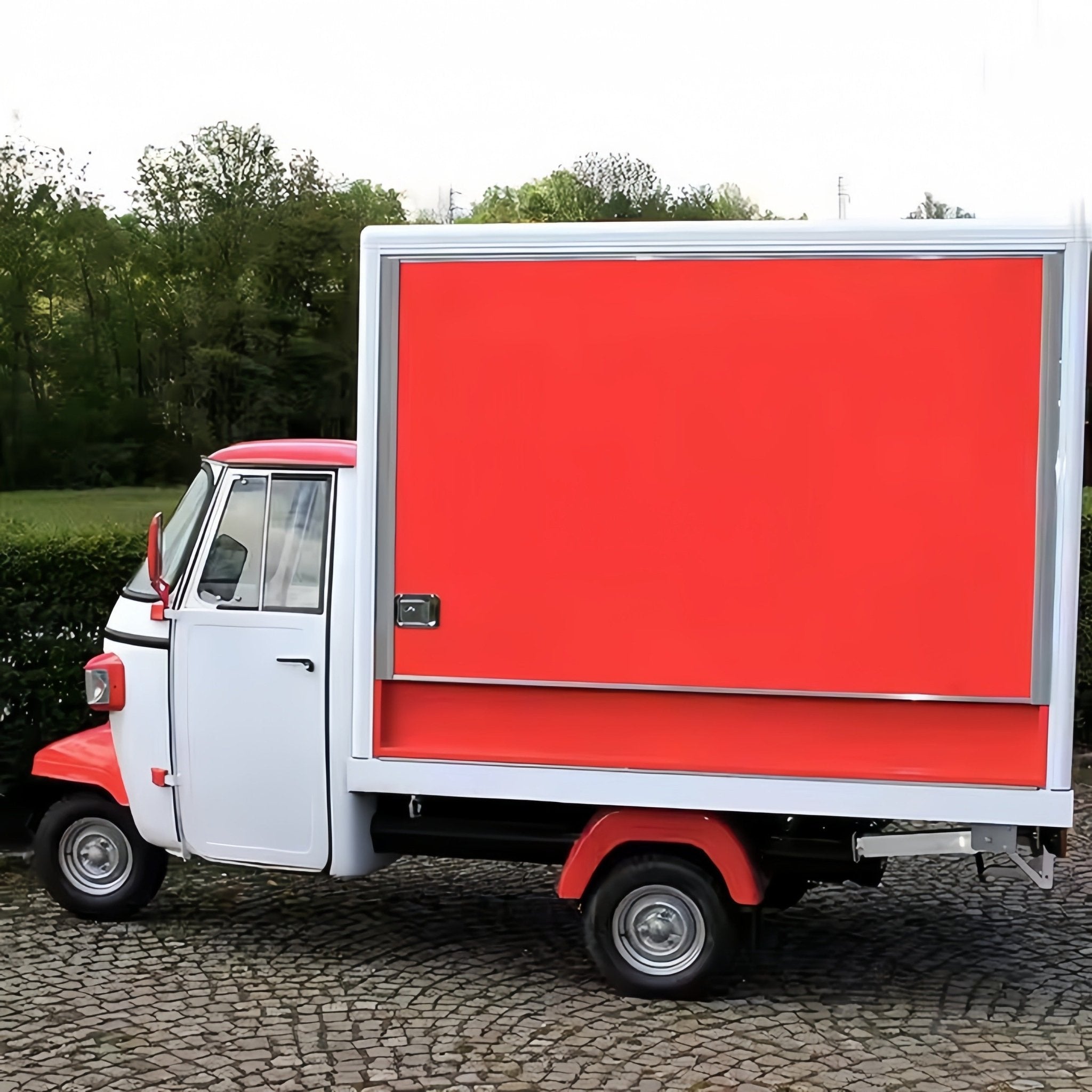 FlexiTrike R7 - T Food Tricycle - REICO