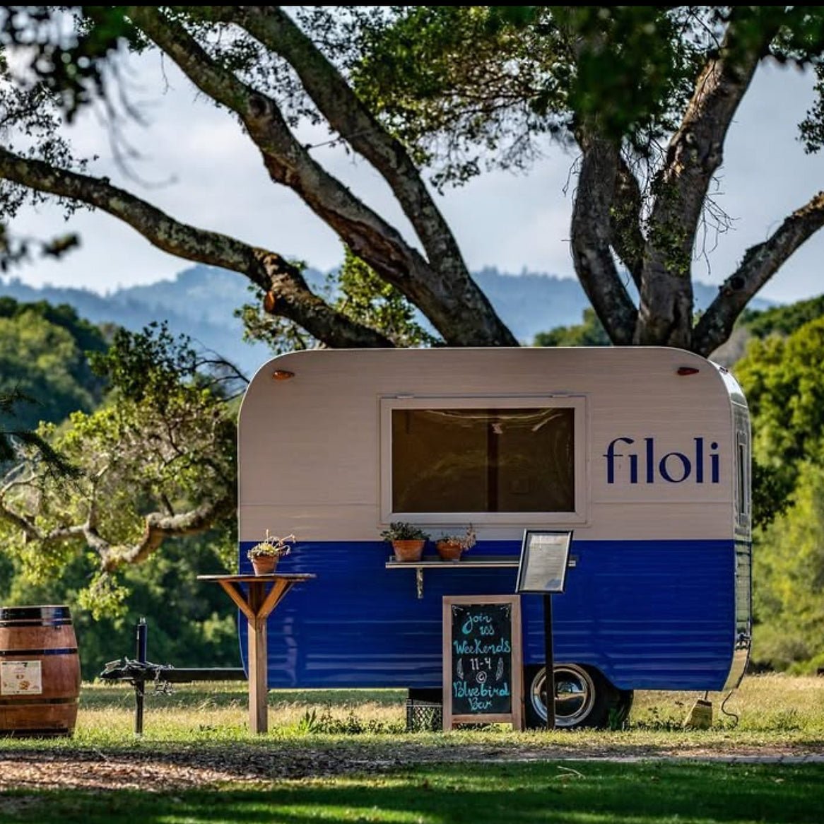 CraftVan R4 - RD Food Trailer - REICO